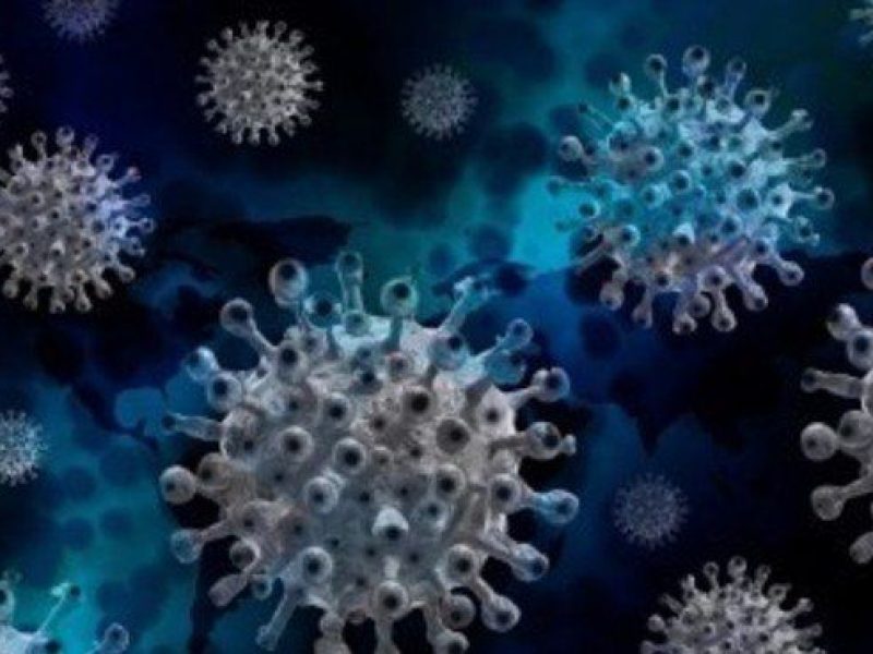 sp-identifica-primeiro-caso-de-variante-do-coronavirus-em-passageiro-vindo-da-india-je-online-db7f17dce31ba0ac4312a3423d16e819